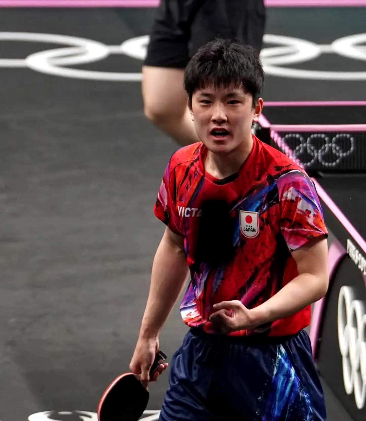 关于中国队翻盘波兰队，张本智和高光表现的信息