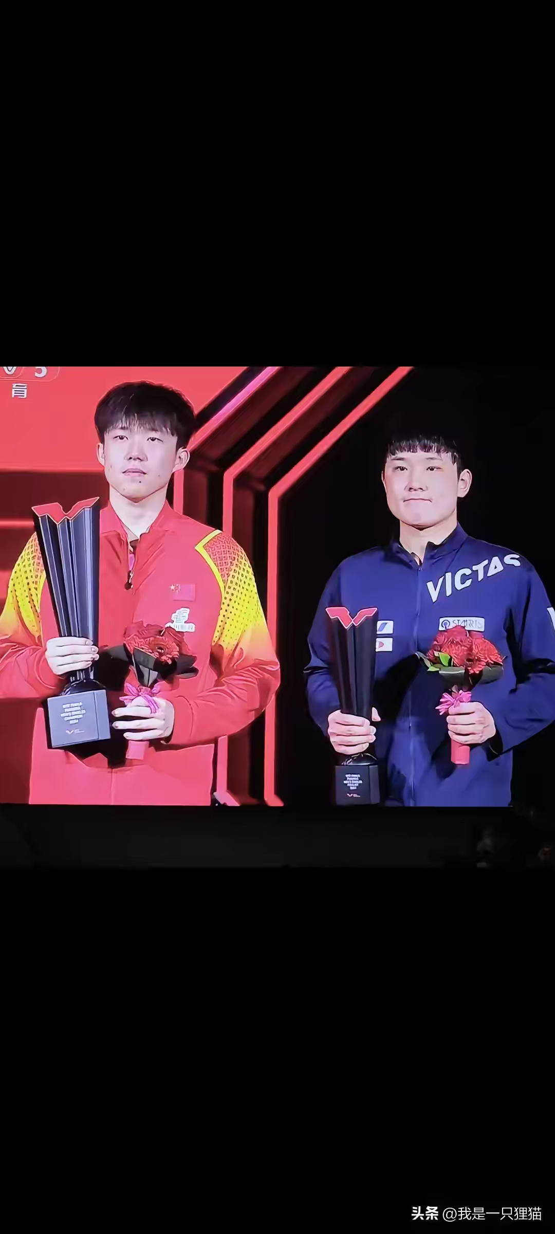 法国队完胜奥地利队，张本智和关键制胜