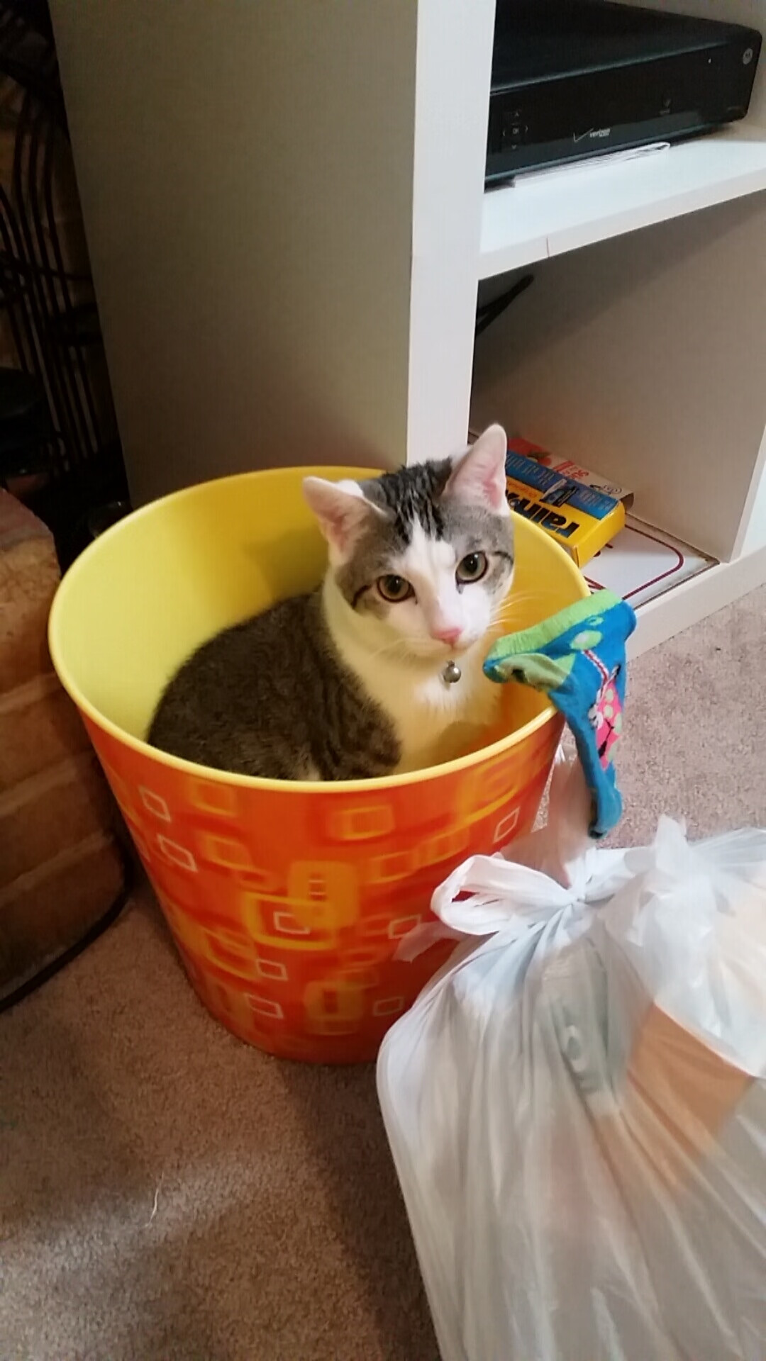 节奏大师杰伦·格林，他用变速器，调教了湖人的心跳