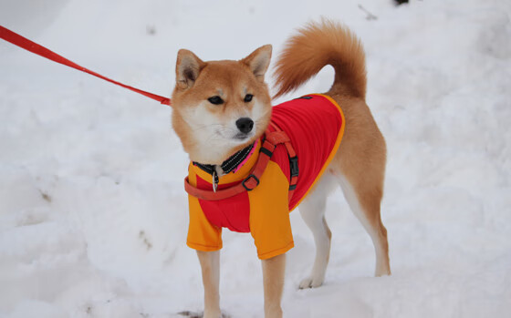 当足球变成篮球，一场抢七式的绿茵绝杀