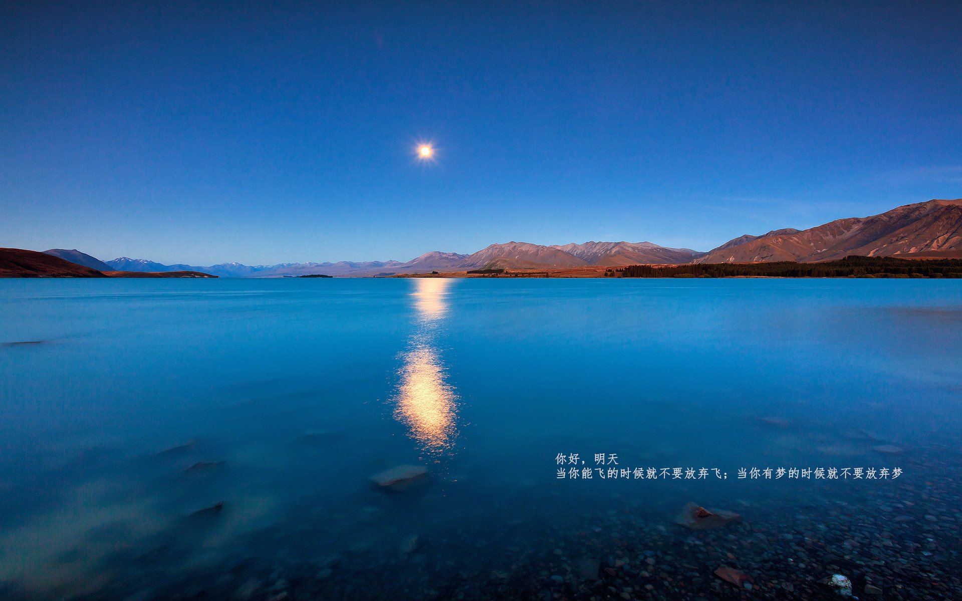 几内亚泥泞中的舞者,当草根梦想照亮伯纳乌的星空