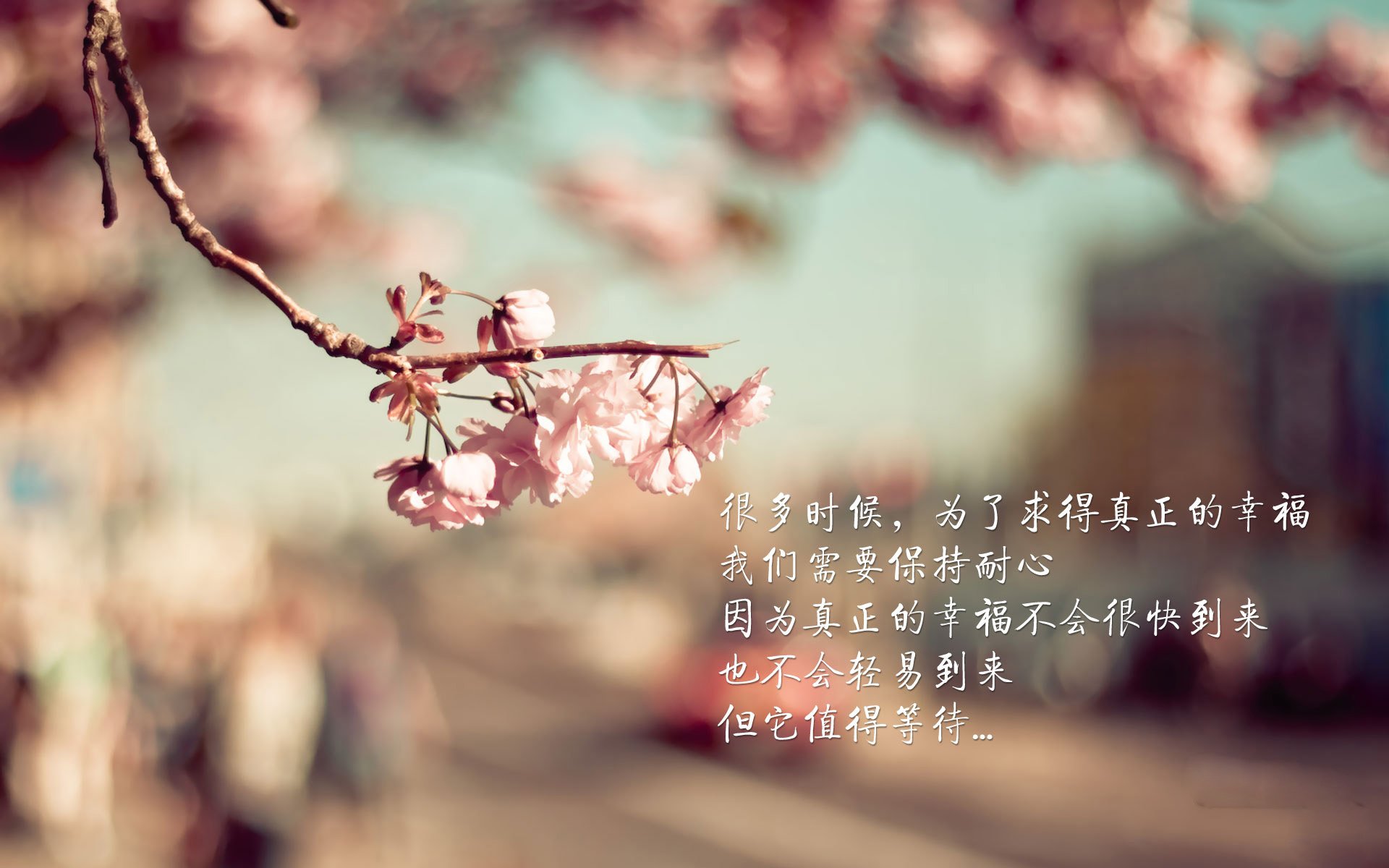 当东方黑马遭遇西方豪门，奥运周期关键战中，吉林队如何终结尼克斯神话？