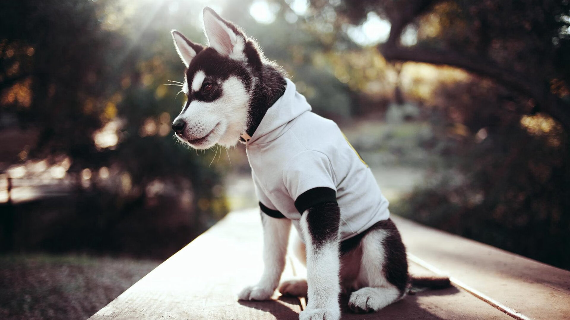 当计时器走向归零,乔治打光了所有的子弹