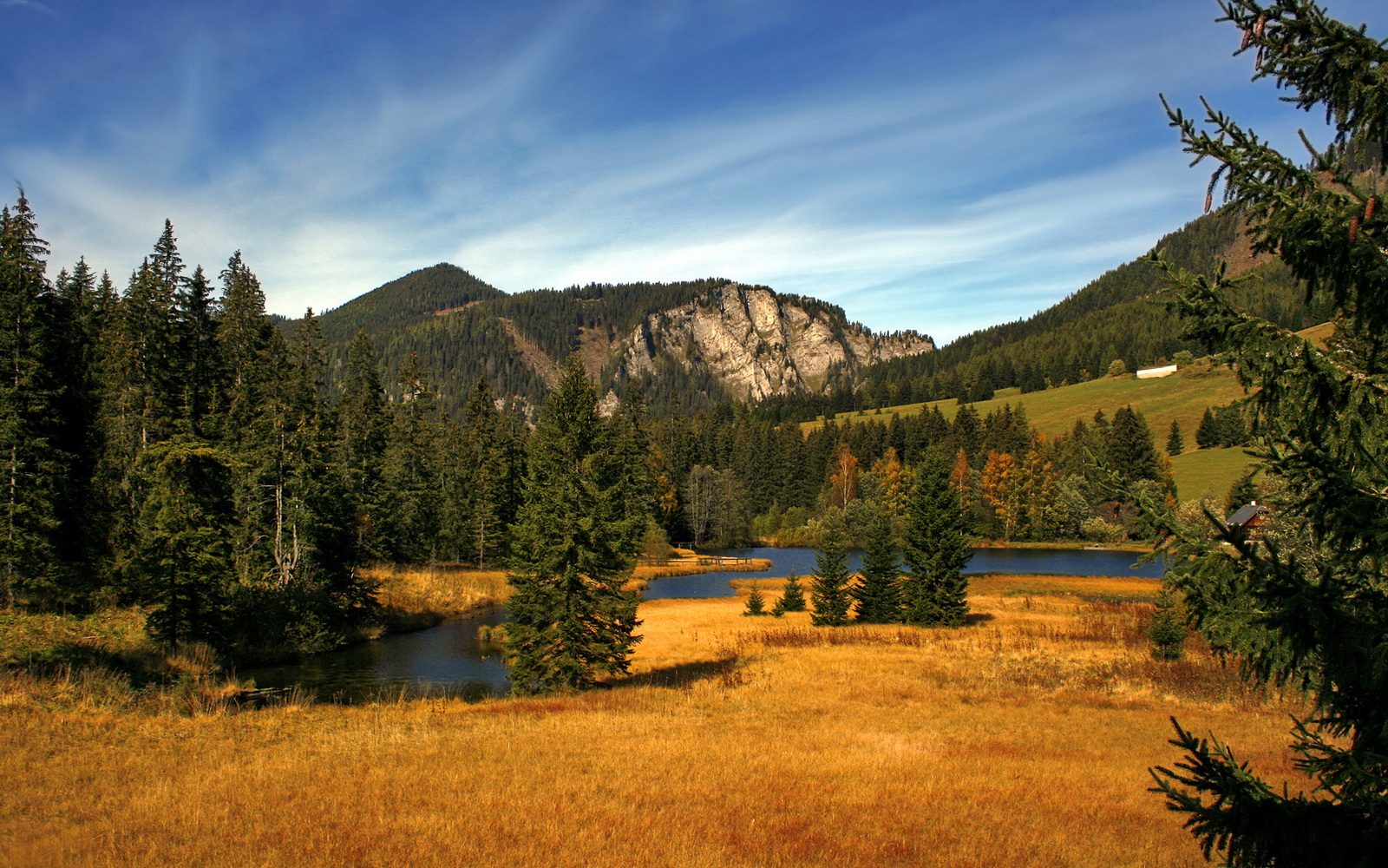 青年军掀翻豪门，布伦森末节17分定乾坤