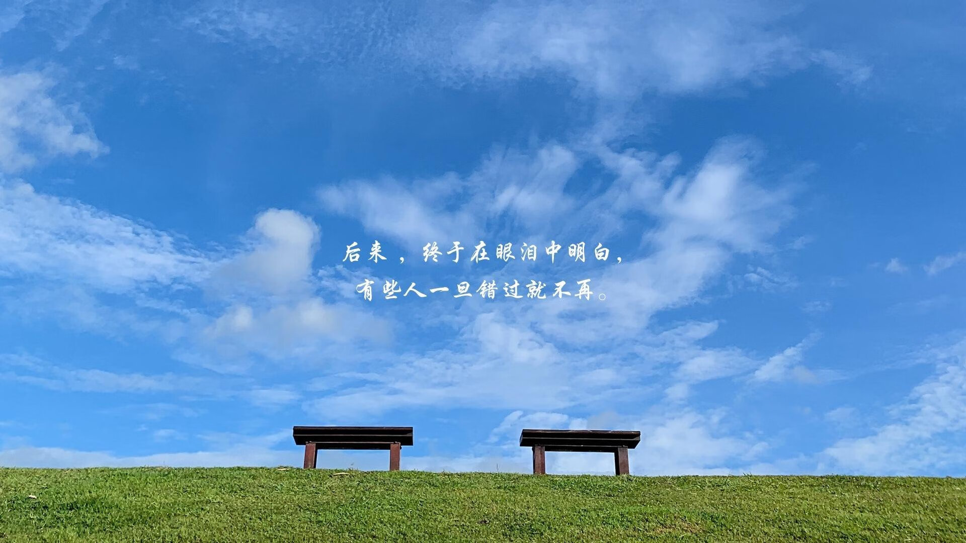 唯一之战，2026世界杯黑马密码—尼日利亚碾压捷克，坎塞洛带队书写不可复制的传奇