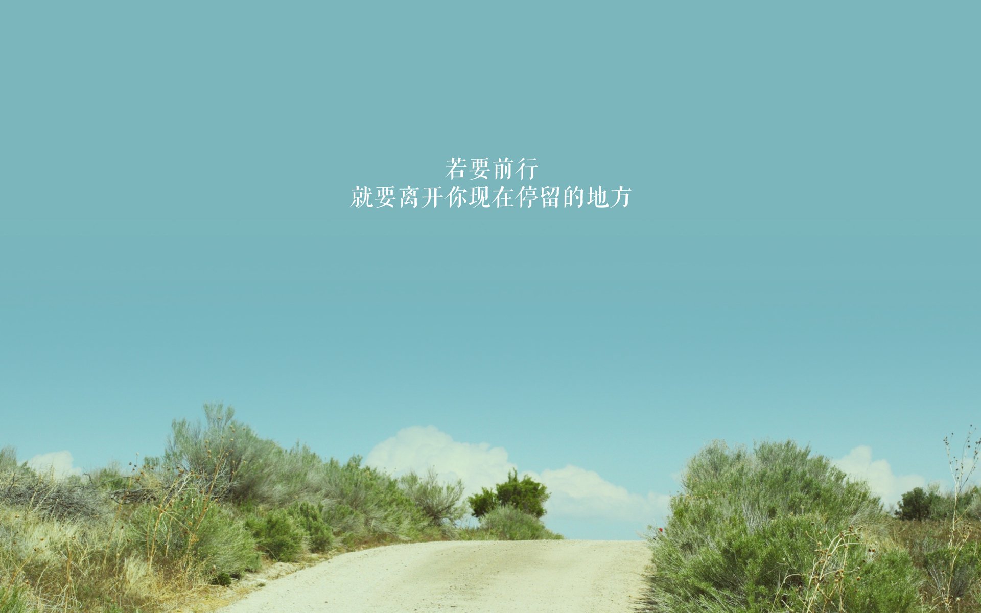 桑巴之殇，魂断蓝武士，当致命一击成为胜利者最后的殉葬