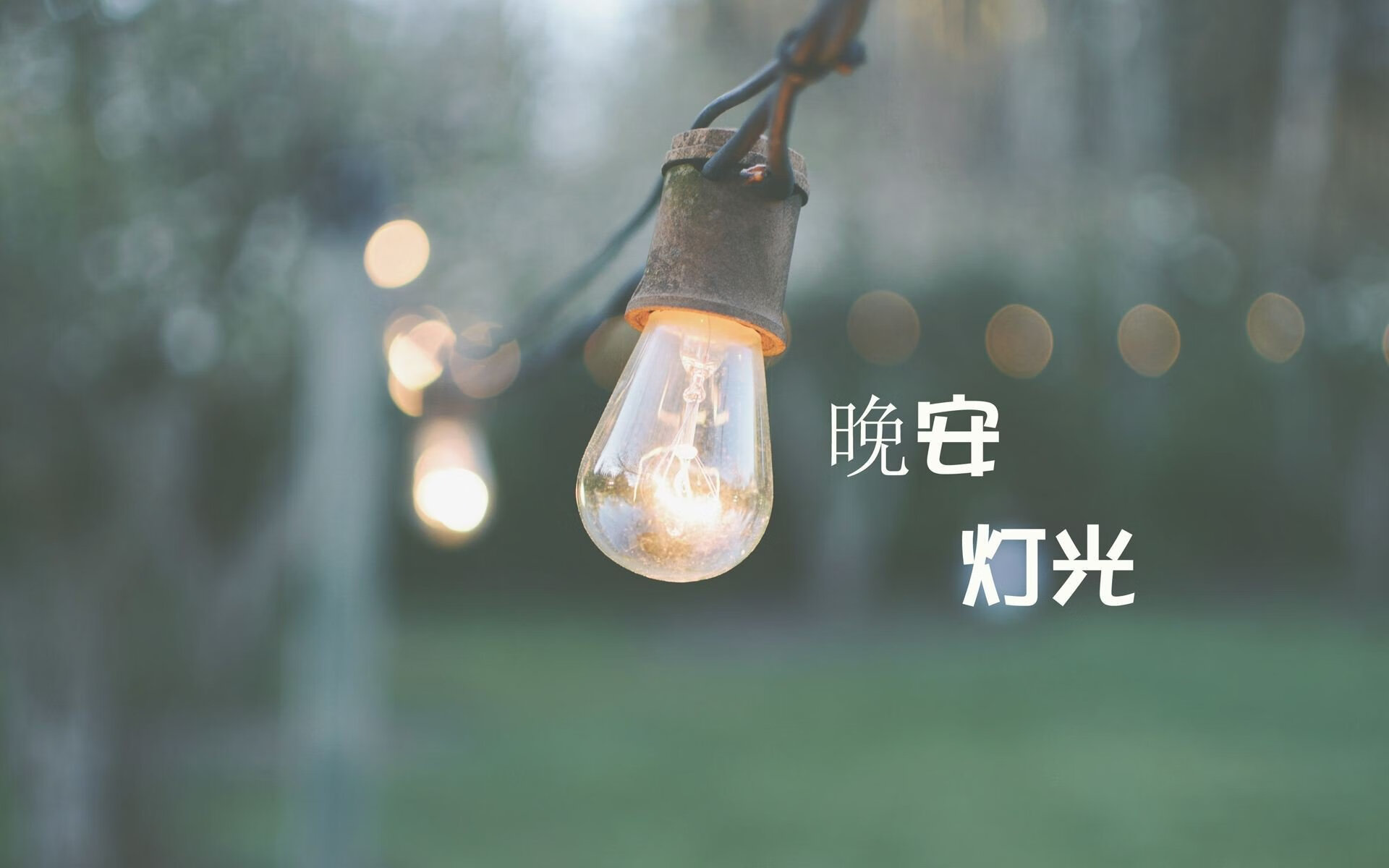 银河倾泻，伊朗文艺复兴与费利克斯的极光时刻—2026世界杯A组，一场被重新书写的亚洲霸权宣言