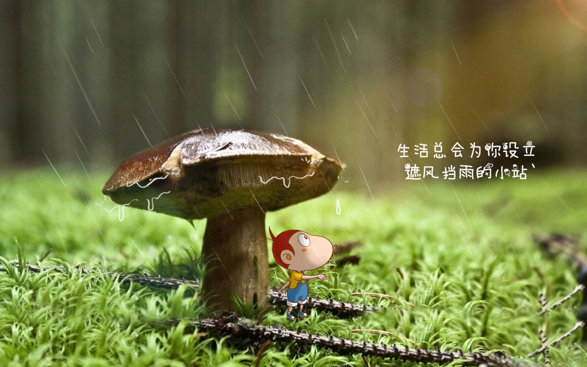 冰与火之歌，2026世界杯G组，奥地利以钢铁节奏扼住命运咽喉，内马尔献上致命一击