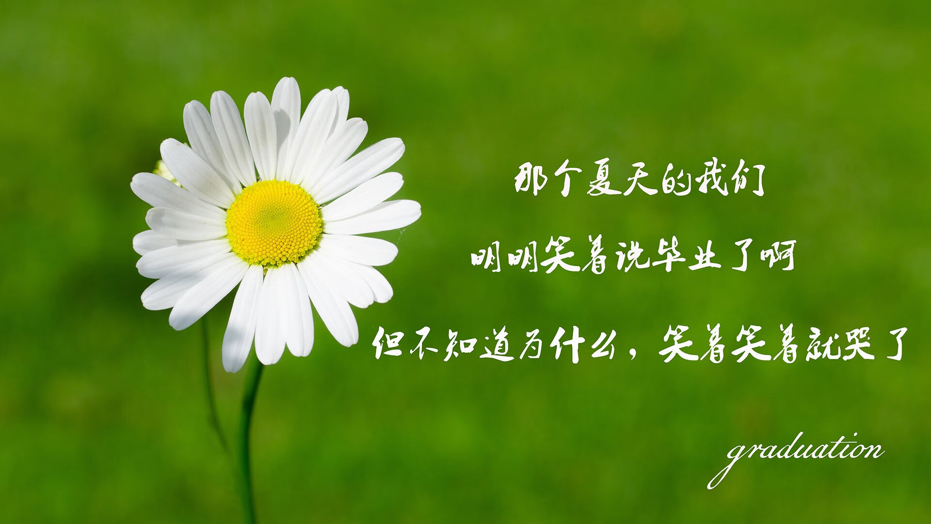 撕裂时空的14号,当梅西身穿德国战袍,用左脚为秘鲁关上天堂之门