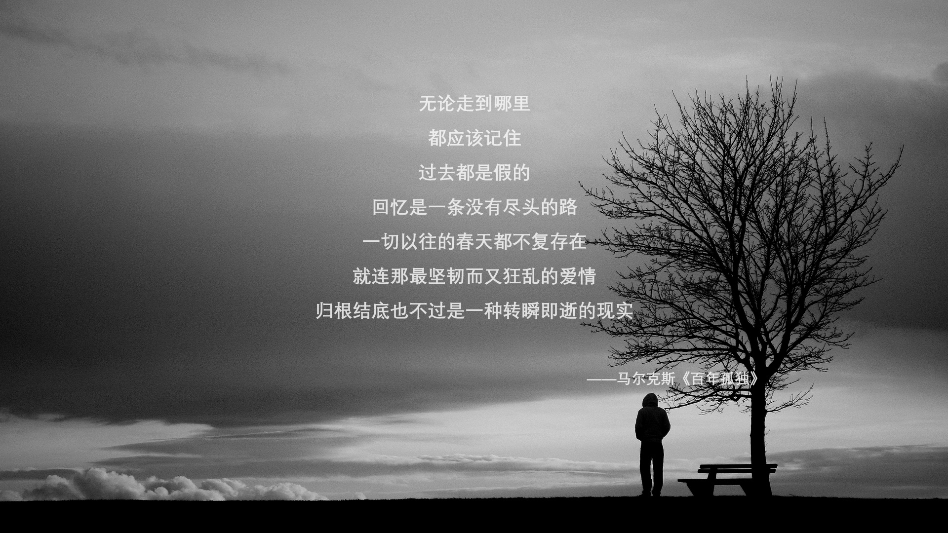当袋鼠军团撕碎童话，2026世界杯冷门夜的萨内剧本
