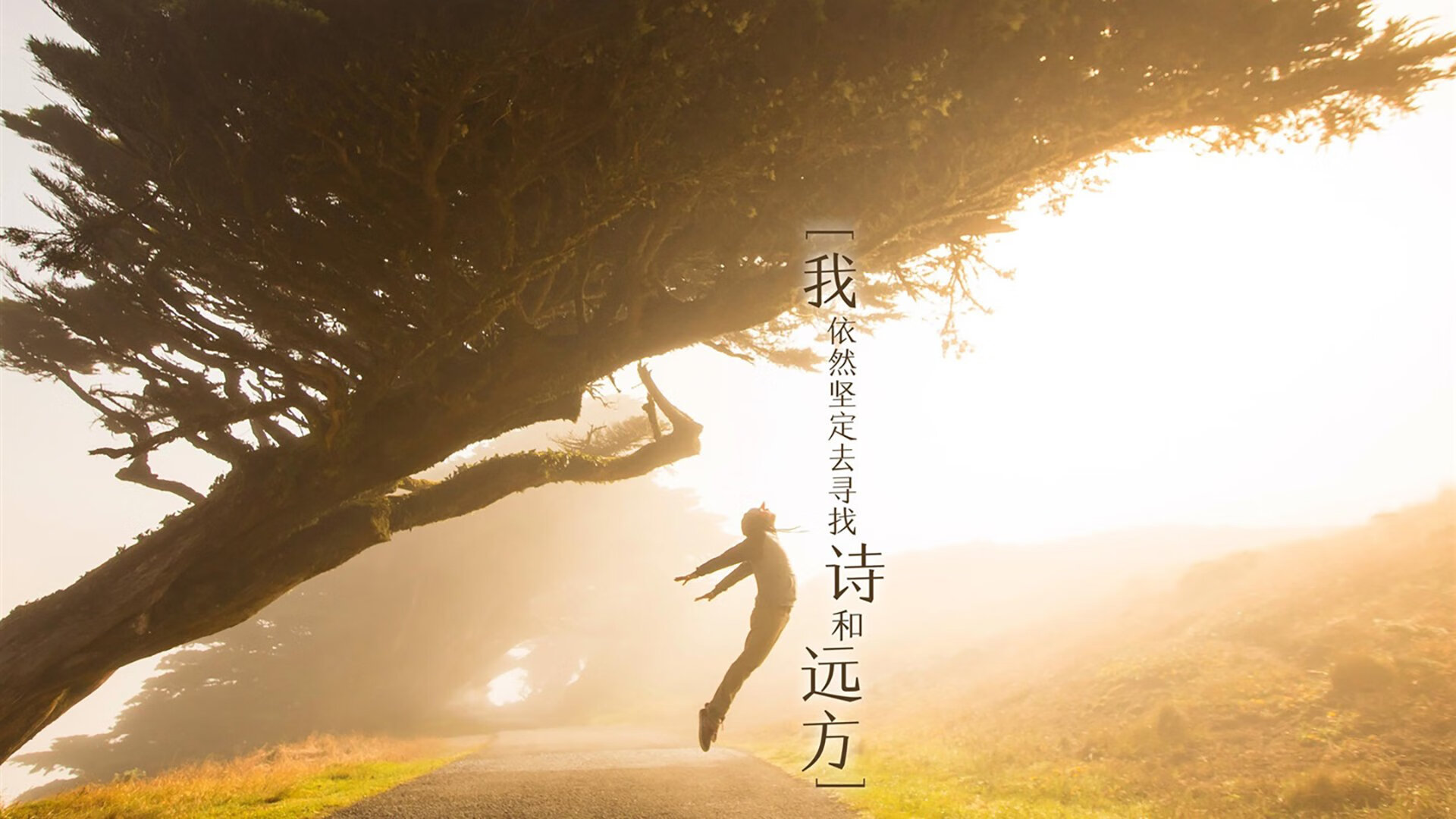 唯一性，2026世界杯D组，泰国史诗冷门，B费带队书写终极悬念